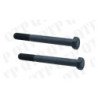 Oil Filter Conversion Bolt (Pack de 2)