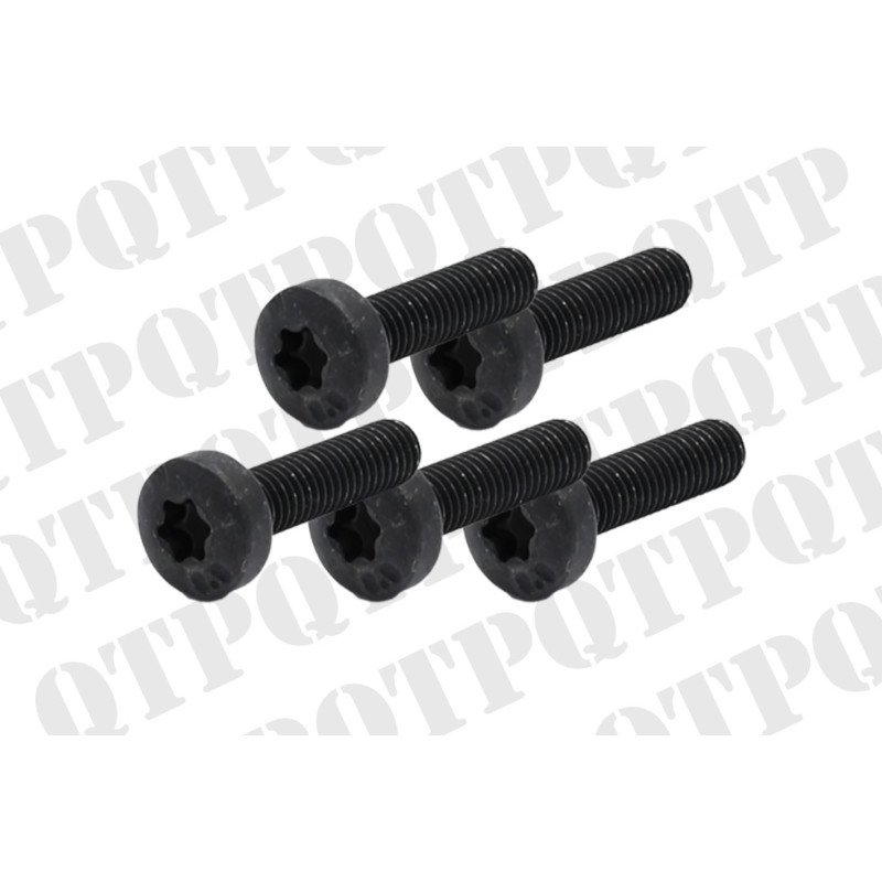 Screw Window Mechanism (Pack de 5)